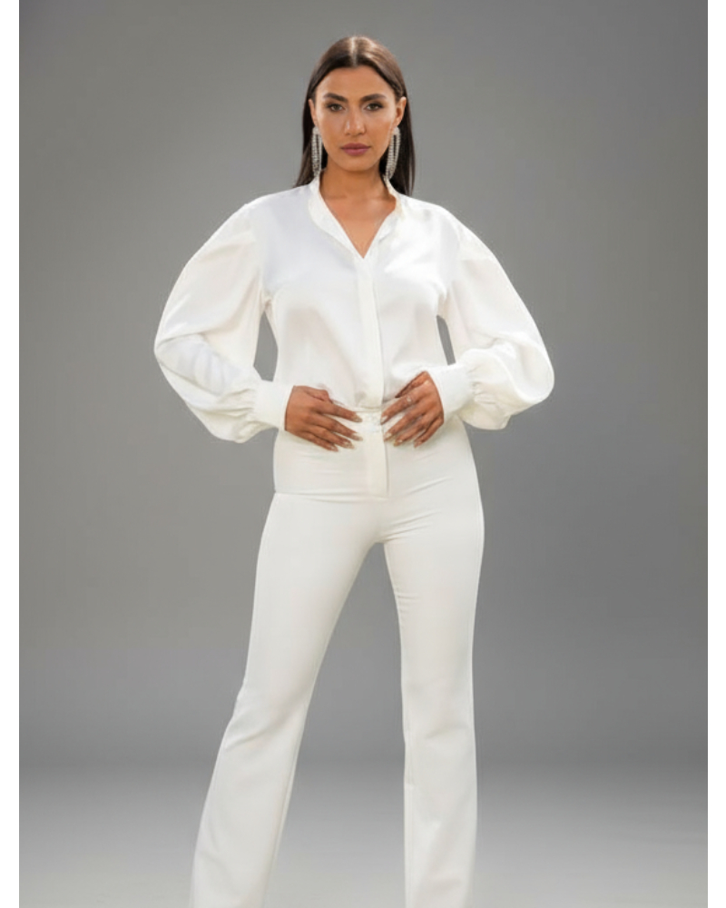 Women&#039;s Elegant Long Sleeve Puff Sleeve Button